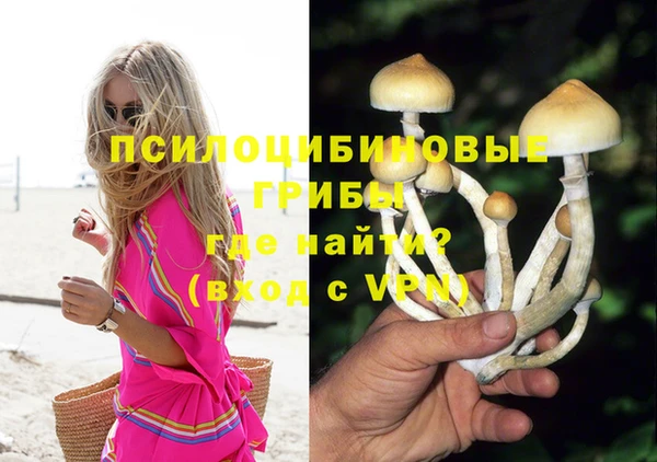 шишки Алзамай