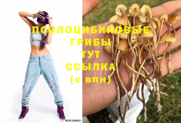 шишки Алзамай